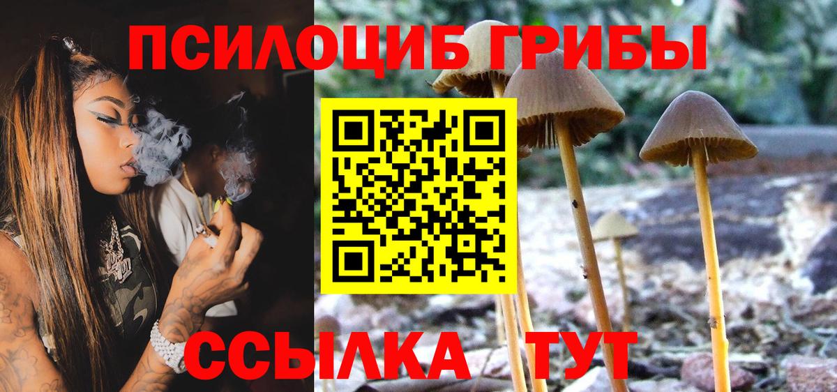 Псилоцибиновые грибы Psilocybine cubensis Домодедово