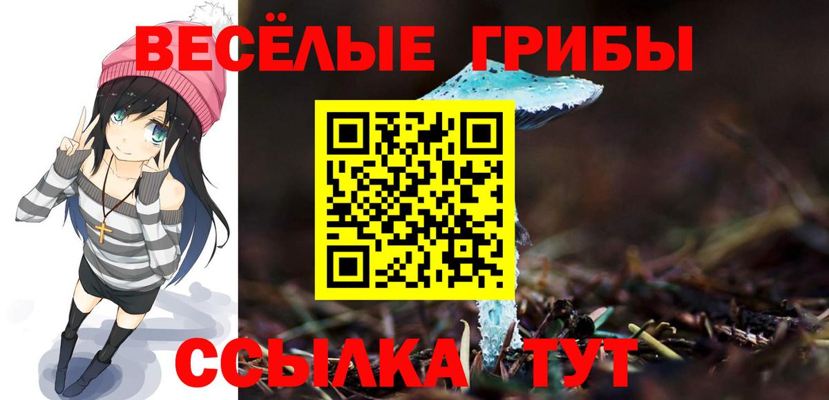 ГАШ  Домодедово  Бошки Шишки  Меф кристаллы  LSD-25  Вход с VPN  Cocaine 